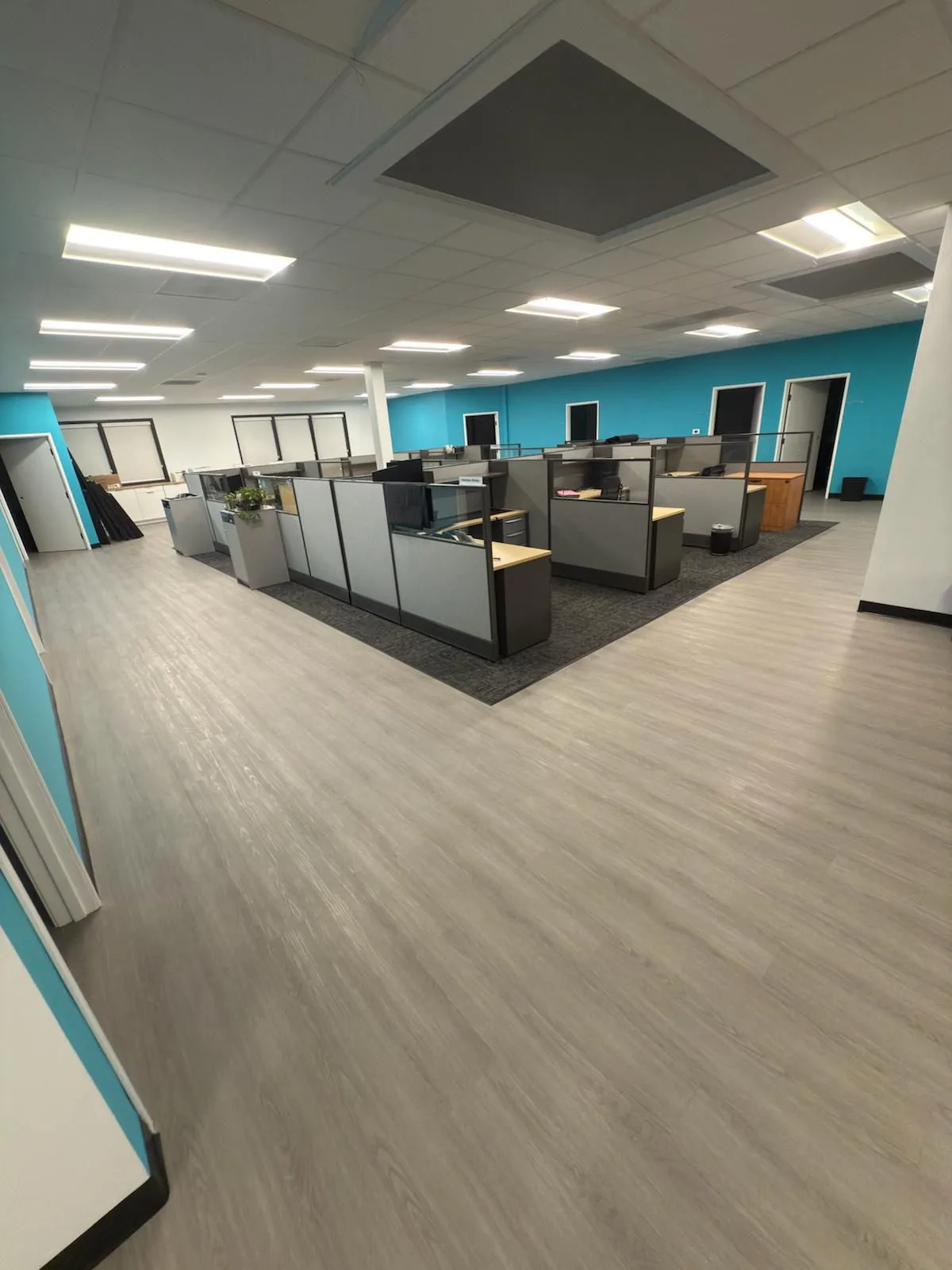 Open office area with cubicles, teal accent wall, and commercial flooring